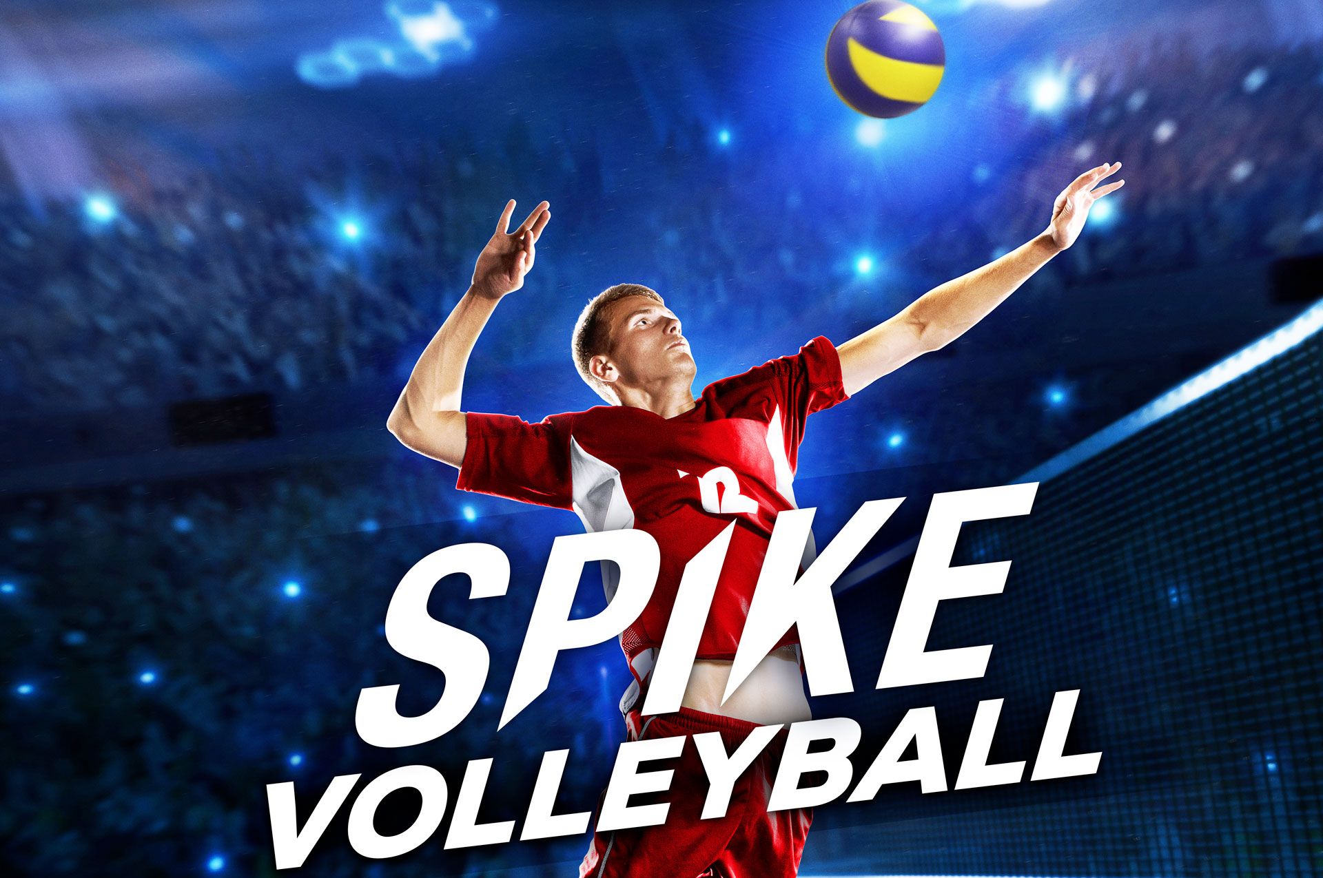 The Spike Volleyball игра