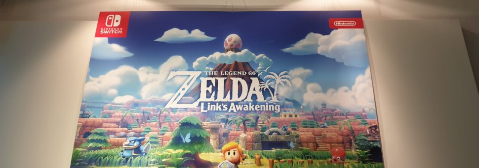 zelda awakening switch