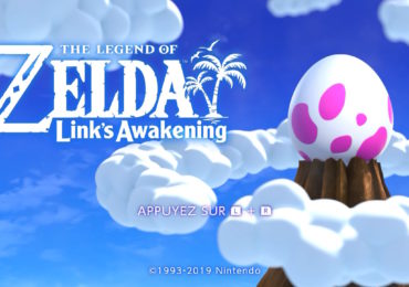 zelda link's awakening switch