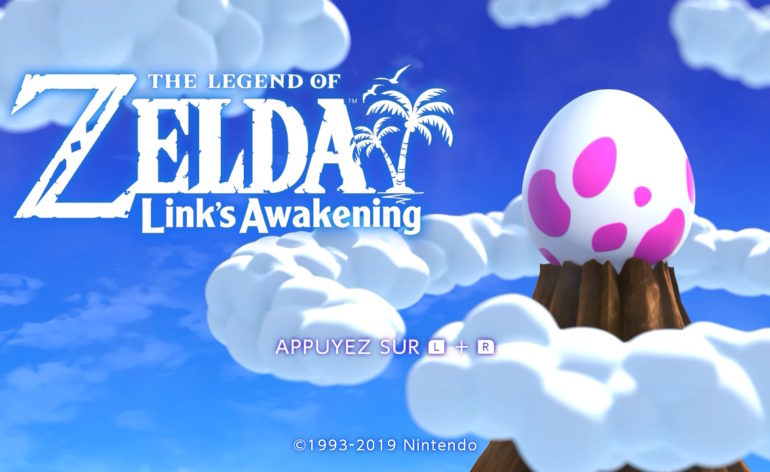 zelda link's awakening switch