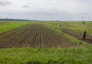 ukraine agriculture