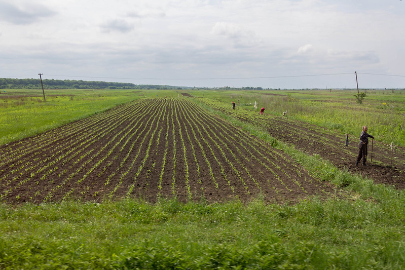 ukraine agriculture