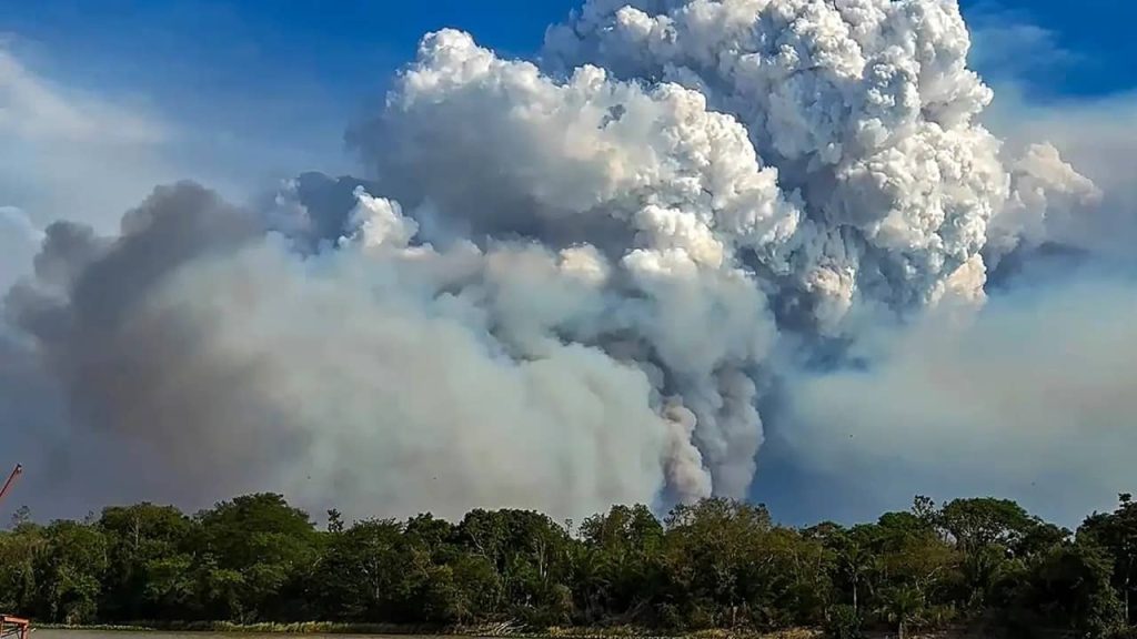 vidéo-fumées-incendies-Pantanal-brésil (1)