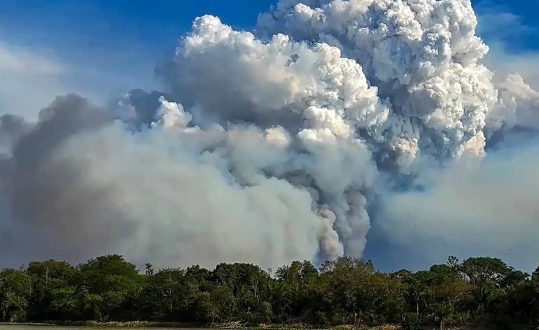 vidéo-fumées-incendies-Pantanal-brésil (1)
