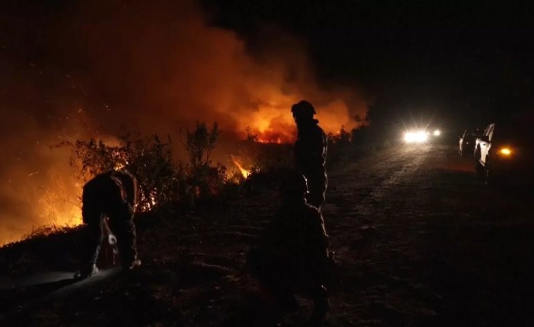 vidéo-pantanal-brésil-incendies