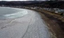 Vidéo. Catastrophe au Japon : des milliers de poissons morts sur une plage !