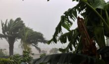 Vidéo. La Réunion : les premières images du cyclone Belal !