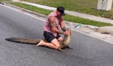 Vidéo. Floride : un combattant MMA à main nue contre un alligator en pleine rue !
