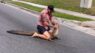 Vidéo. Floride : un combattant MMA à main nue contre un alligator en pleine rue !