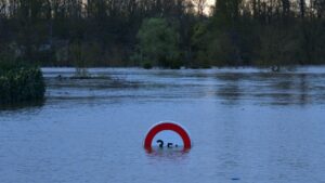 Vidéo. Ouragan Milton : Un Chien Attaché à Un Poteau, Son Propriétaire ...