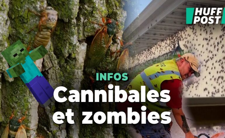 vidéo-insecte-cannibales-zombies-etats-unis