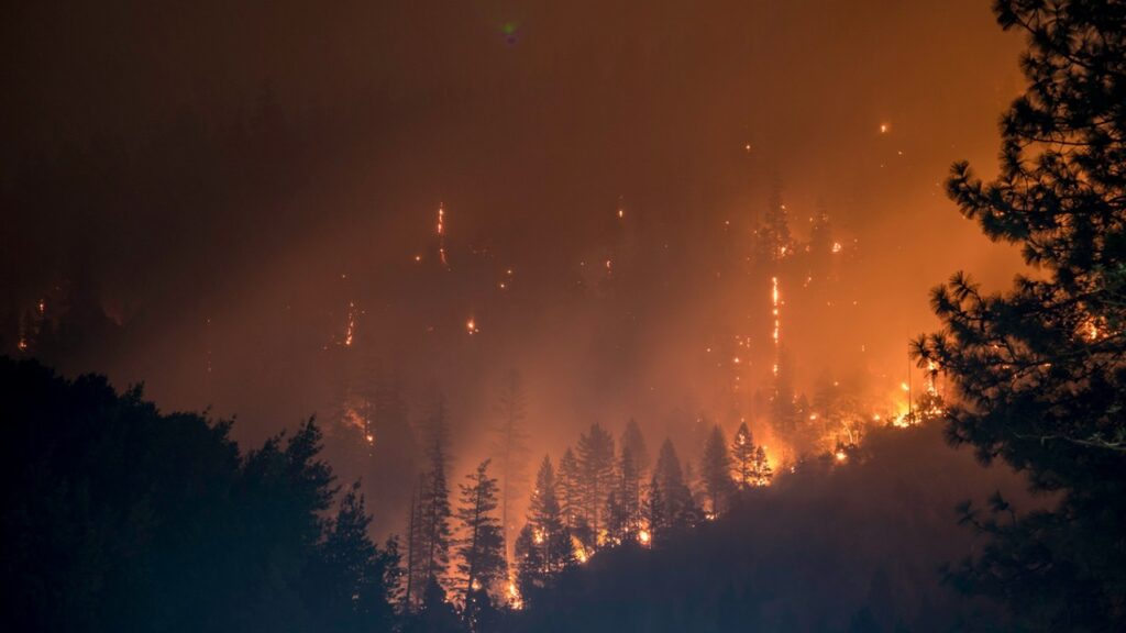 vidéo-incendie-forestier