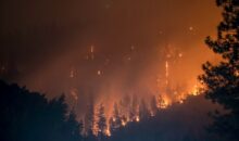 Vidéo. Premier gros incendie de la saison : le Var perd 600 ha de terrains, brûlés !