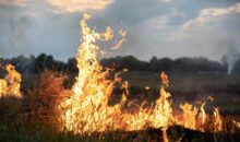 Vidéo. Énorme incendie dans le sud de la Corse : 40 ha détruits par les flammes à Porto-Vecchio !