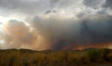 Vidéo. Incendies de forêt incontrôlables : l’Albanie demande de l’aide à l’UE !