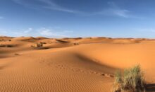 Vidéo. Le Sahara inondé : même les déserts ne sont pas épargnés !