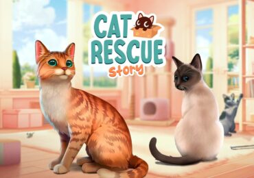 Cat Rescue Story, le jeu vidéo idéal pour la Journée mondiale des animaux !