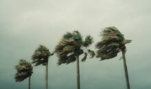 Vidéo. Dégâts cataclysmiques à Luzon : la tempête Trami déverse des pluies torrentielles !