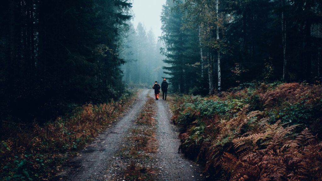 vidéo-chasse-en-forêt