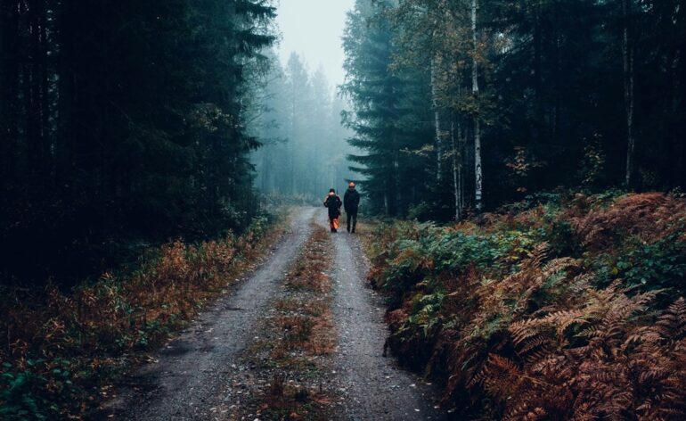 vidéo-chasse-en-forêt