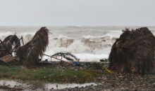 Vidéo. Mayotte en situation critique : le cyclone Chido détruit tout sur son passage !