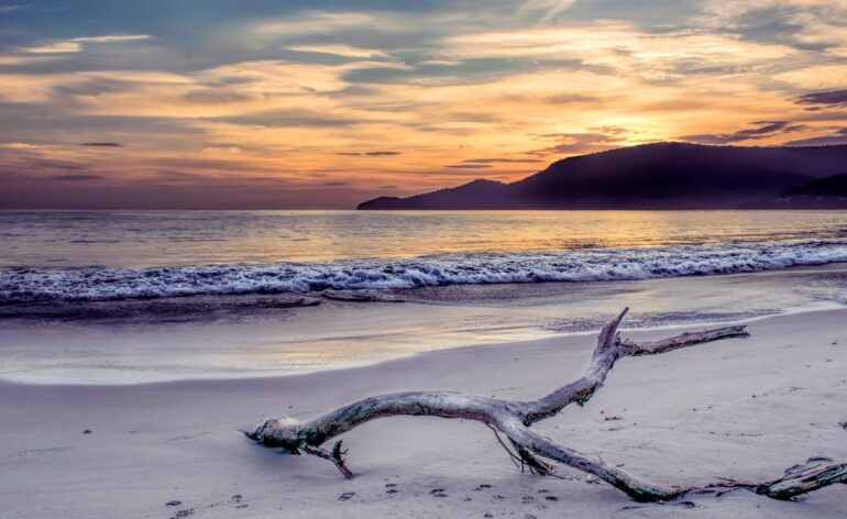 vidéo-plage-tasmanie-australie