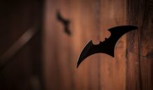 Quels sont les meilleurs “seconds rôles” de super-héros, dans le DCEU (DC Comics) ?