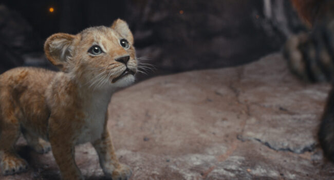 le roi lion