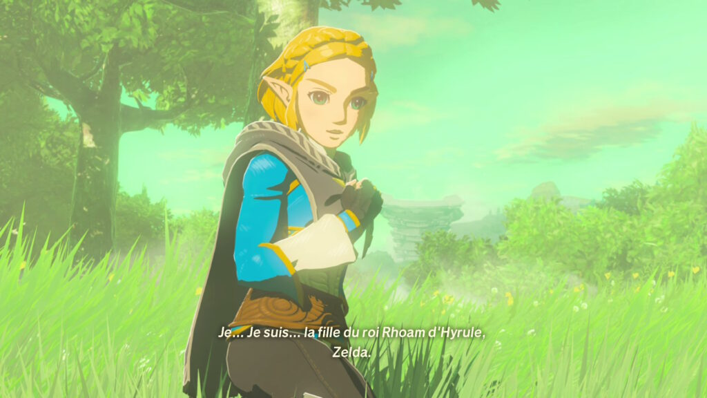 Zelda dans Hyrule Warriors Les Chroniques du Sceau