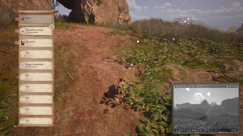 Boris suit une piste dans Adorable Adventures