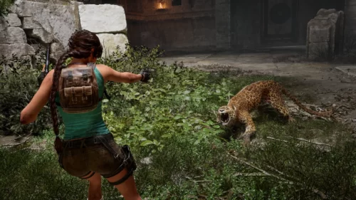 tomb raider legacy félin